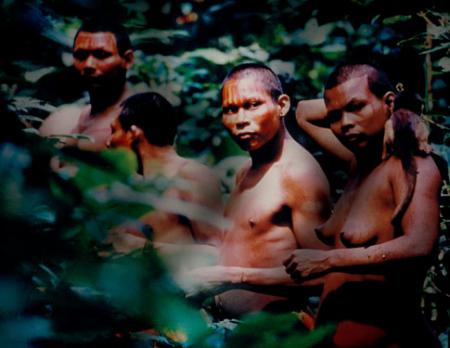 tribu 